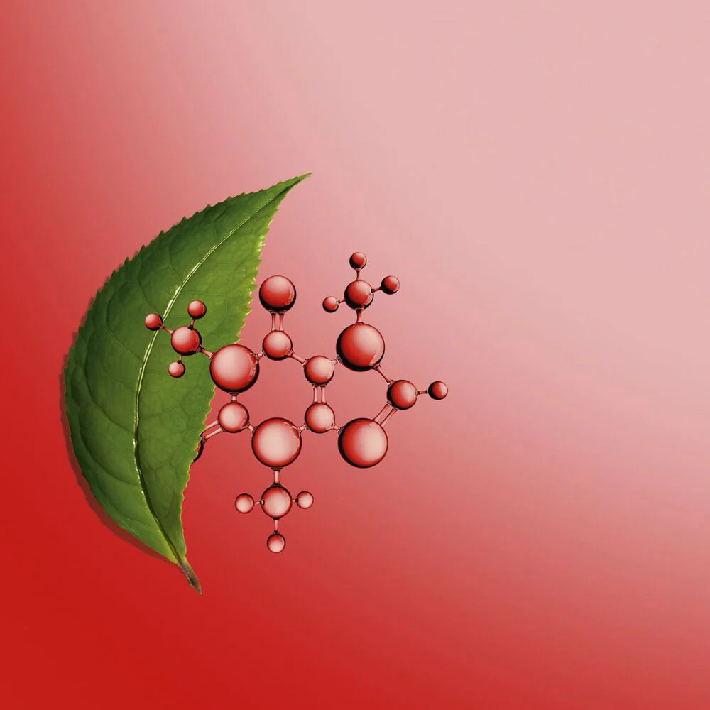 Clarins Body Fit New - Image 4